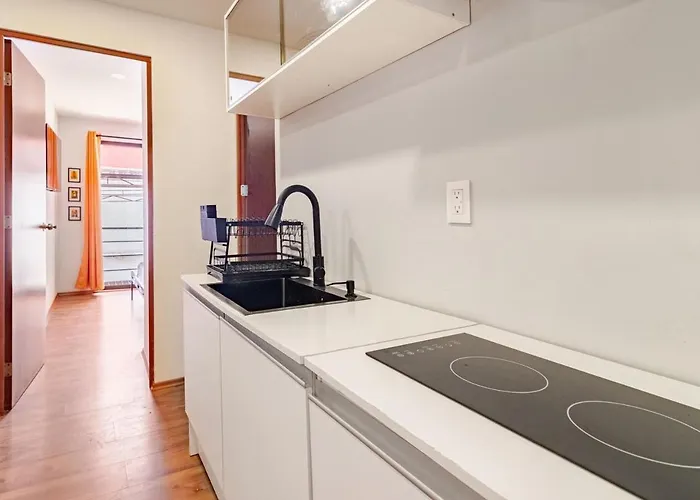 2 Bedroom - Roma Norte México DF